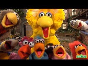 yt58birbirdcooperation