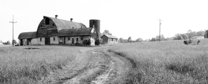 The Walking Dead, “Smart for Then or Smart for Now?”