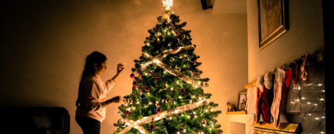 Michele the Trainer’s Vegan Organic Ensalada de Noche Buena